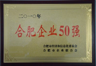 安起被評(píng)為合肥企業(yè)50強(qiáng) 安起被評(píng)為合肥企業(yè)50強(qiáng)