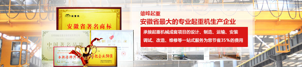 雄峰起重安徽省最大的專業(yè)起重機(jī)生產(chǎn)企業(yè) 雄峰起重安徽省最大的專業(yè)起重機(jī)生產(chǎn)企業(yè)
