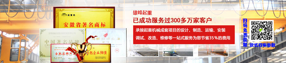 雄峰起重安徽省最大的專業(yè)起重機生產(chǎn)企業(yè) 雄峰起重安徽省最大的專業(yè)起重機生產(chǎn)企業(yè)